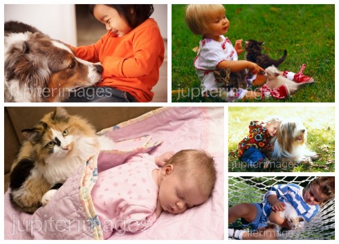 SimplyMui Photography / Elyse Lewin / Design Pics-John Kroetch / Corbis / Open Door Images